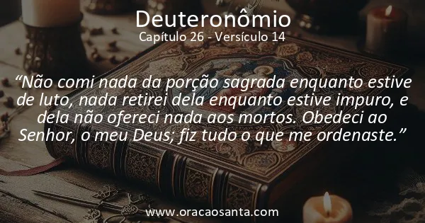 Deuteronômio 26:14