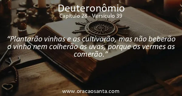 Deuteronômio 28:39