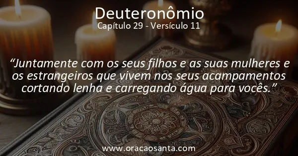 Deuteronômio 29:11