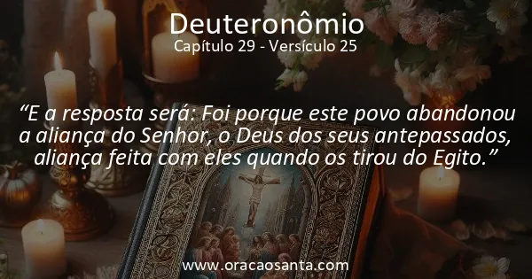 Deuteronômio 29:25
