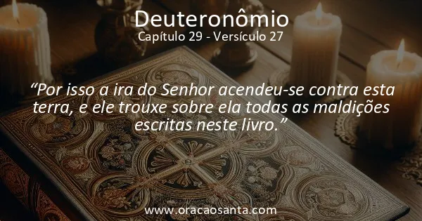 Deuteronômio 29:27