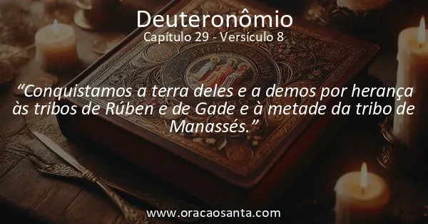 Deuteronômio 29:8