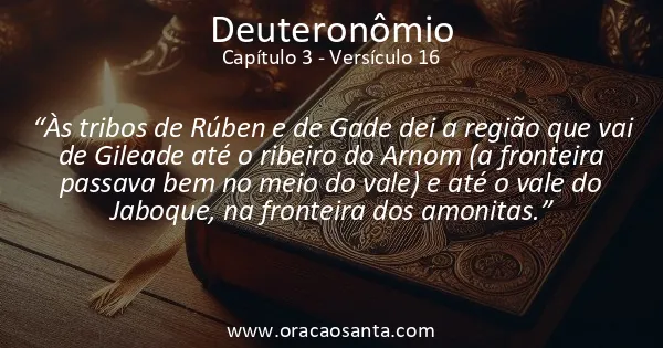 Deuteronômio 3:16