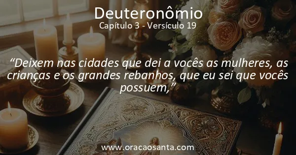 Deuteronômio 3:19