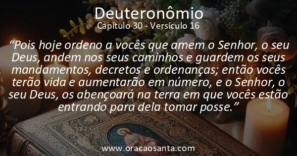 Deuteronômio 30:16