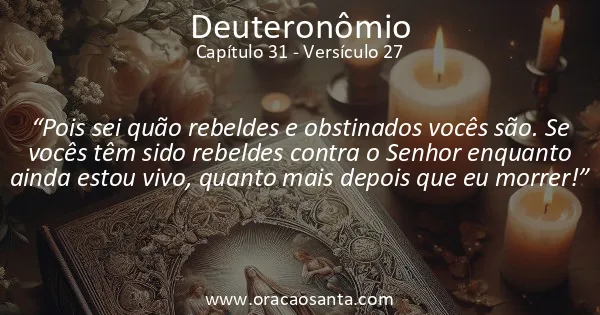 Deuteronômio 31:27