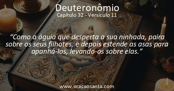 Deuteronômio 32:11