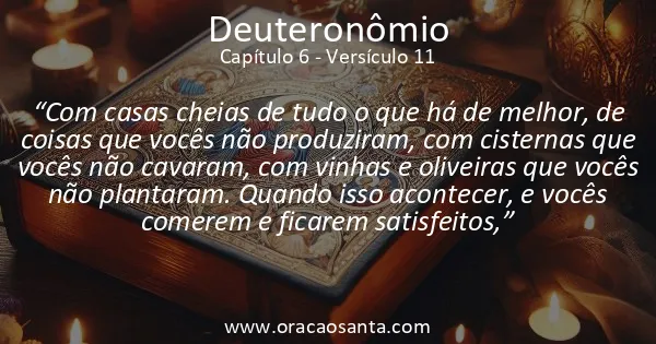 Deuteronômio 6:11