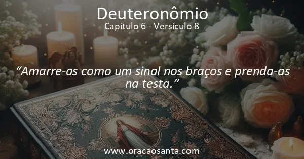 Deuteronômio 6:8