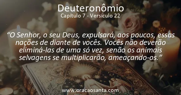 Deuteronômio 7:22
