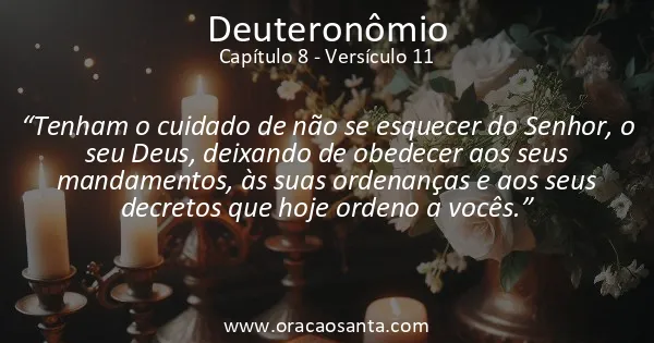 Deuteronômio 8:11