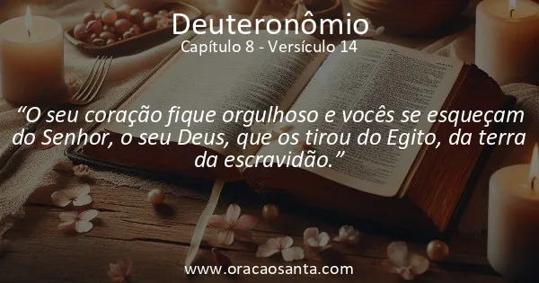 Deuteronômio 8:14