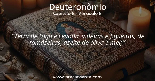 Deuteronômio 8:8