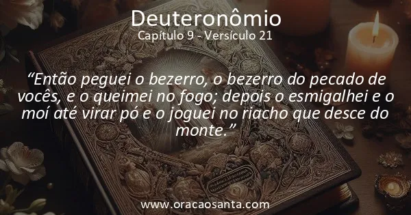 Deuteronômio 9:21