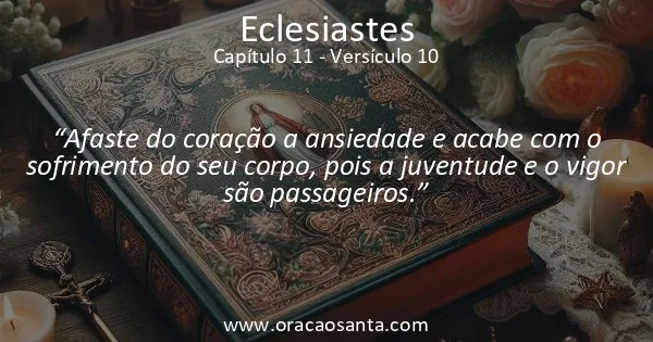Eclesiastes 11:10