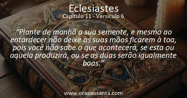 Eclesiastes 11:6
