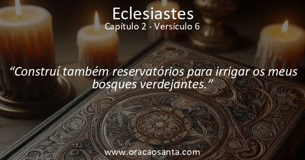 Eclesiastes 2:6