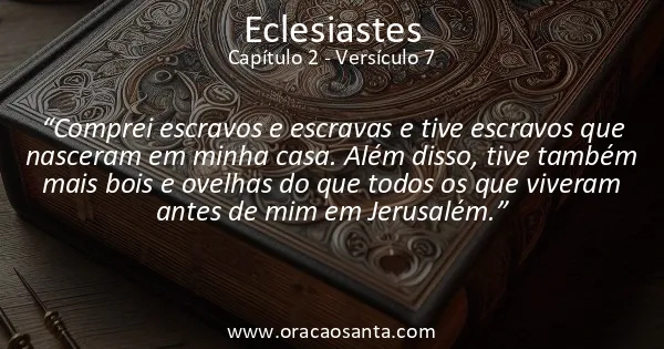 Eclesiastes 2:7