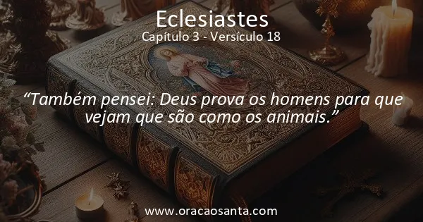 Eclesiastes 3:18
