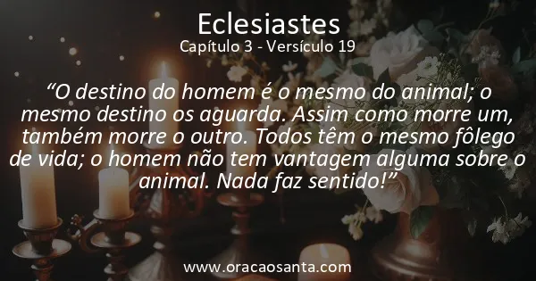 Eclesiastes 3:19