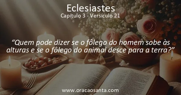 Eclesiastes 3:21