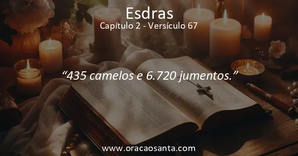 Esdras 2:67