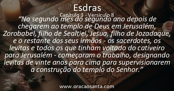 Esdras 3:8