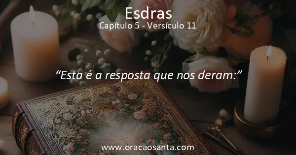 Esdras 5:11