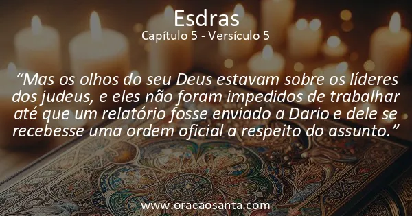 Esdras 5:5