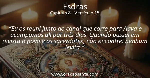Esdras 8:15