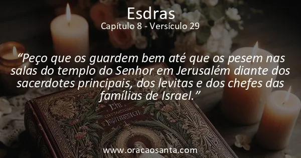 Esdras 8:29