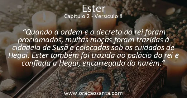 Ester 2:8