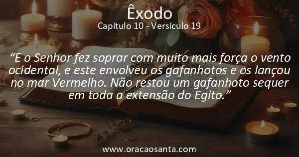 Êxodo 10:19