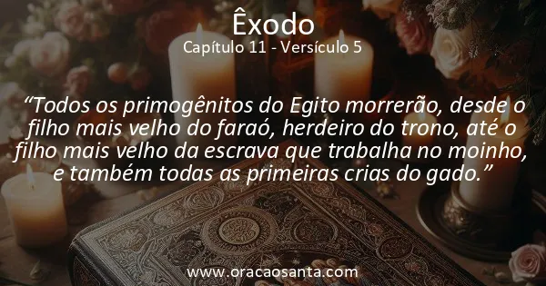 Êxodo 11:5