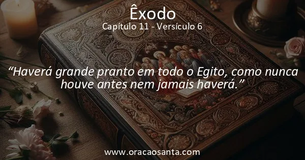 Êxodo 11:6