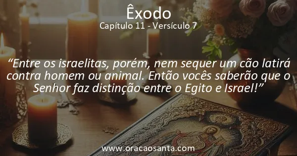Êxodo 11:7