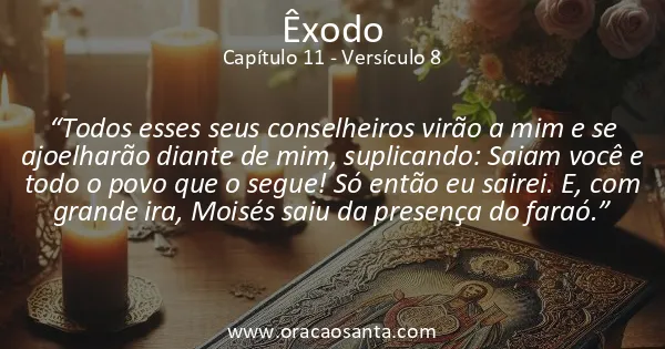 Êxodo 11:8