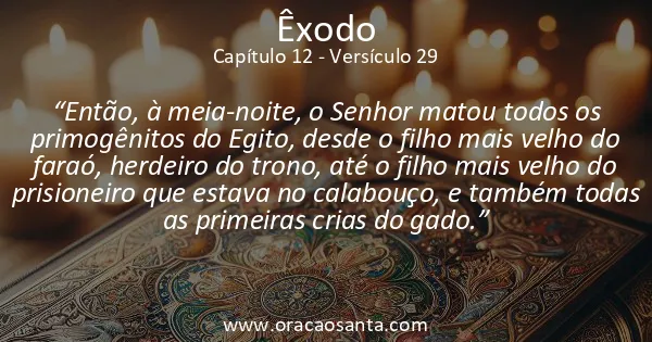 Êxodo 12:29