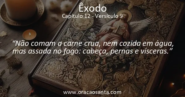 Êxodo 12:9