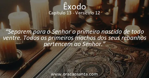 Êxodo 13:12