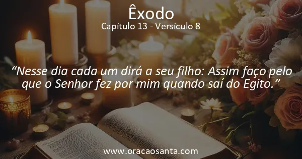 Êxodo 13:8
