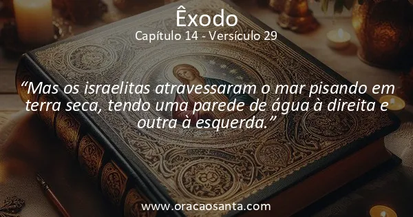 Êxodo 14:29