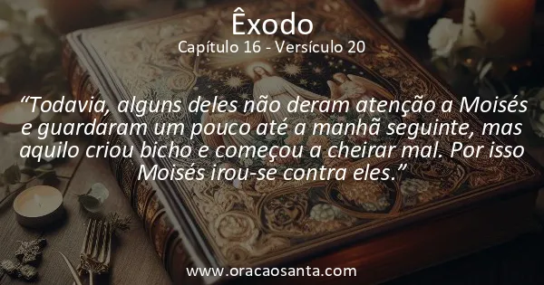 Êxodo 16:20