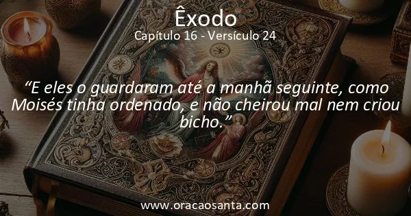 Êxodo 16:24