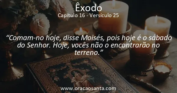 Êxodo 16:25
