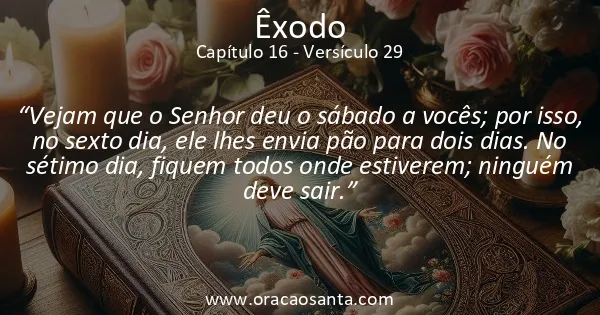 Êxodo 16:29