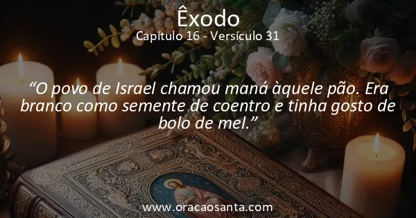 Êxodo 16:31