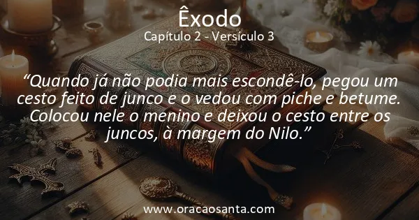 Êxodo 2:3