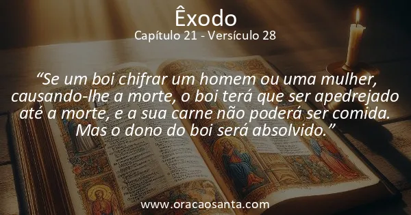 Êxodo 21:28