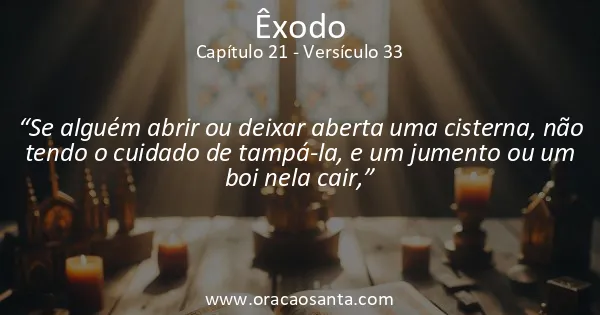 Êxodo 21:33